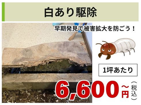 シロアリ駆除